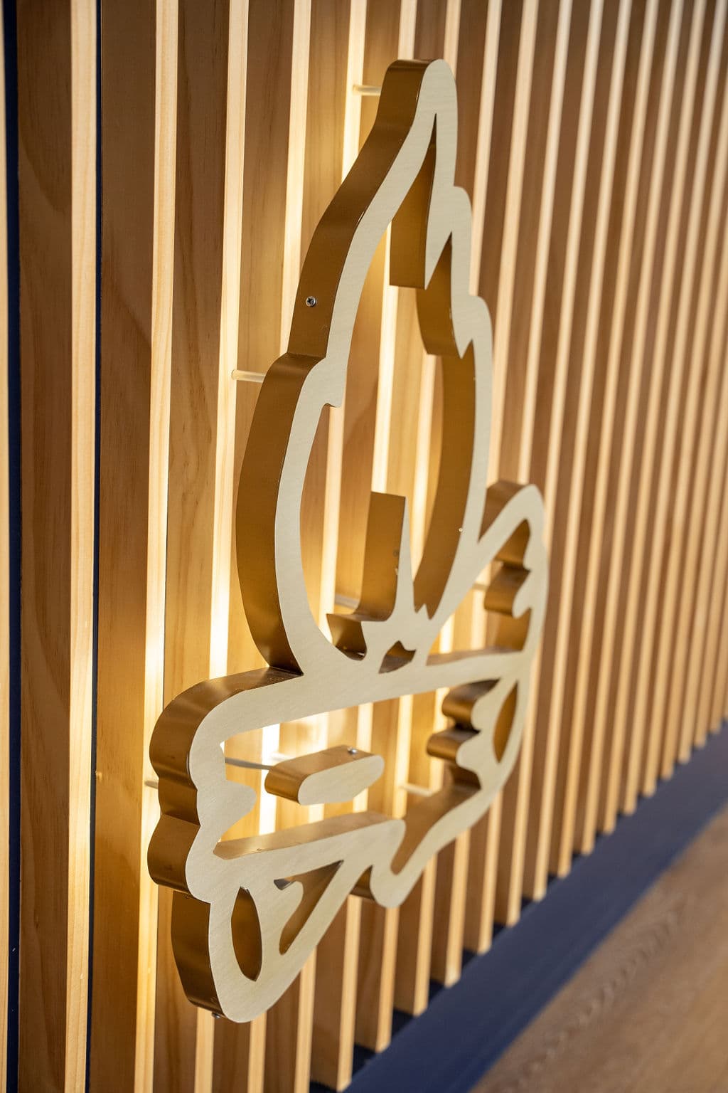 Ignite Chiropractic brand logo on wood